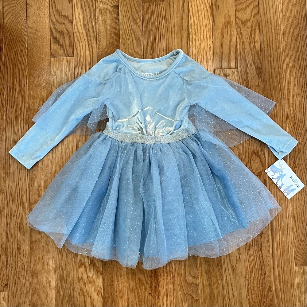 Disney Frozen II Elsa costume leotard tutu dress